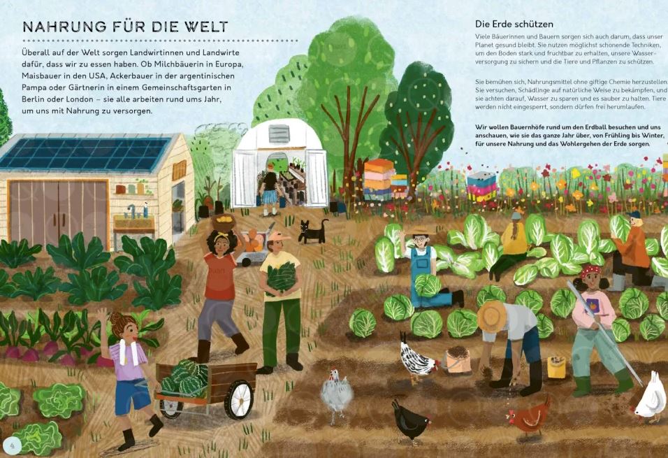 Buch: Vom Feld auf den Teller Kinderbuch Knesebeck Verlag